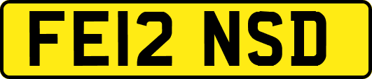 FE12NSD
