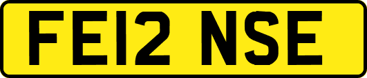 FE12NSE