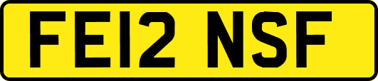 FE12NSF