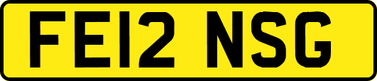 FE12NSG