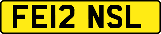 FE12NSL