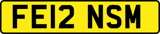 FE12NSM