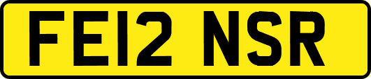 FE12NSR
