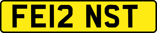 FE12NST