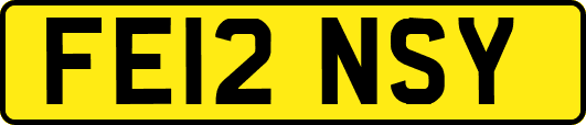 FE12NSY