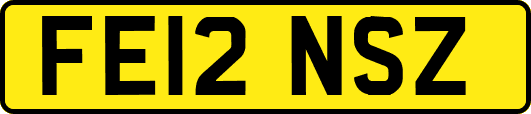 FE12NSZ