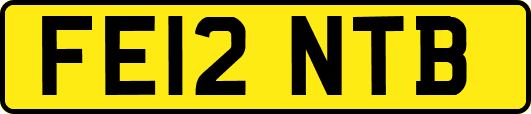 FE12NTB