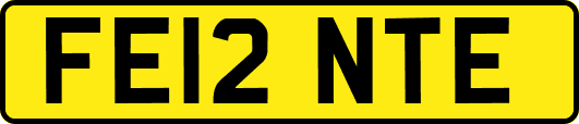 FE12NTE