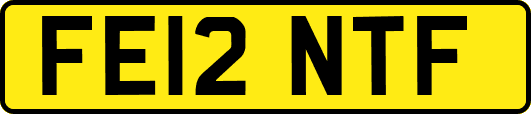FE12NTF