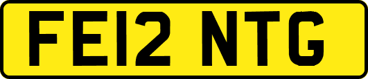 FE12NTG
