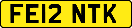 FE12NTK