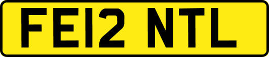 FE12NTL