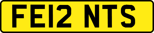FE12NTS
