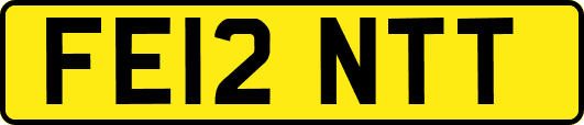 FE12NTT