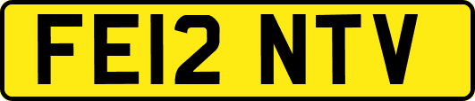 FE12NTV