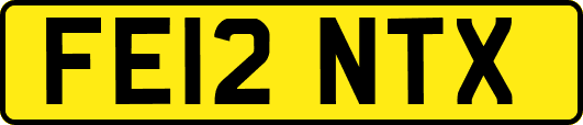 FE12NTX