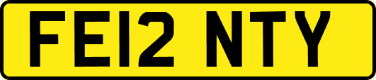 FE12NTY