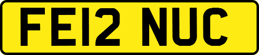 FE12NUC