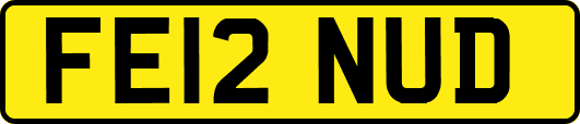 FE12NUD