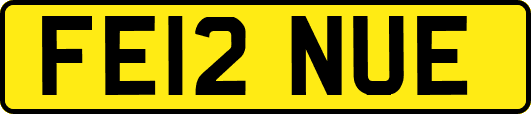 FE12NUE