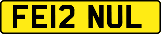 FE12NUL