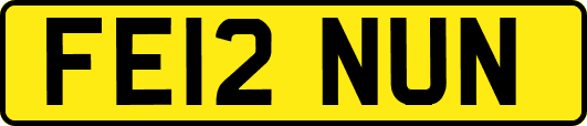 FE12NUN