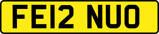 FE12NUO