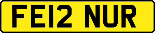 FE12NUR