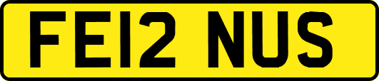 FE12NUS
