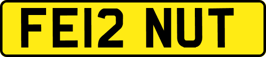FE12NUT