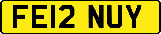 FE12NUY