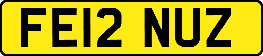 FE12NUZ