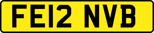 FE12NVB