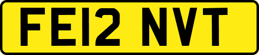FE12NVT