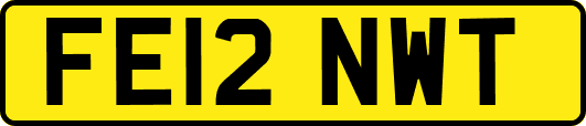 FE12NWT
