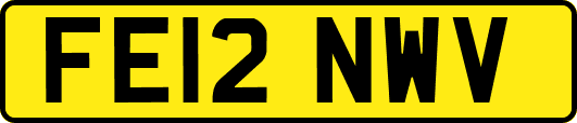 FE12NWV