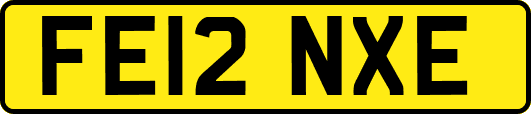FE12NXE