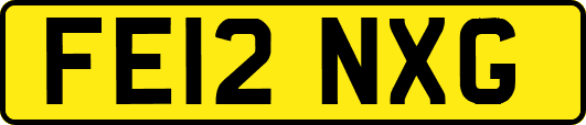 FE12NXG