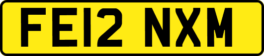 FE12NXM