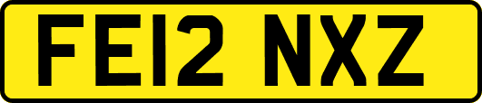 FE12NXZ