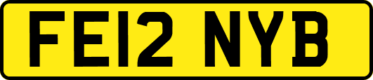 FE12NYB