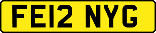 FE12NYG