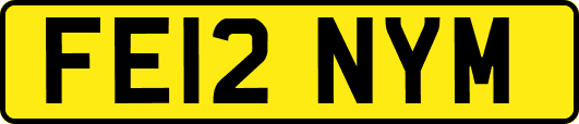 FE12NYM
