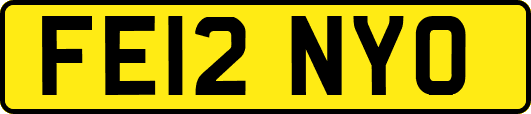 FE12NYO