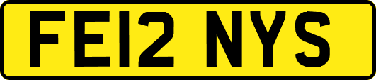 FE12NYS