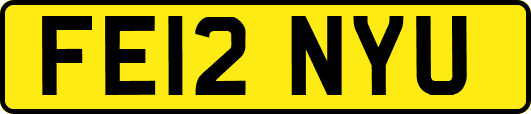 FE12NYU