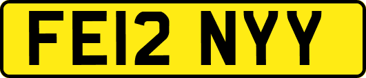 FE12NYY