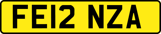 FE12NZA