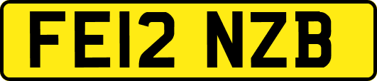 FE12NZB