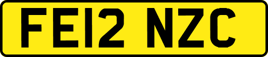 FE12NZC